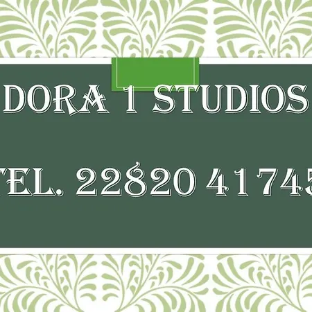 Villa Dora Studios Batsi  Exterior photo